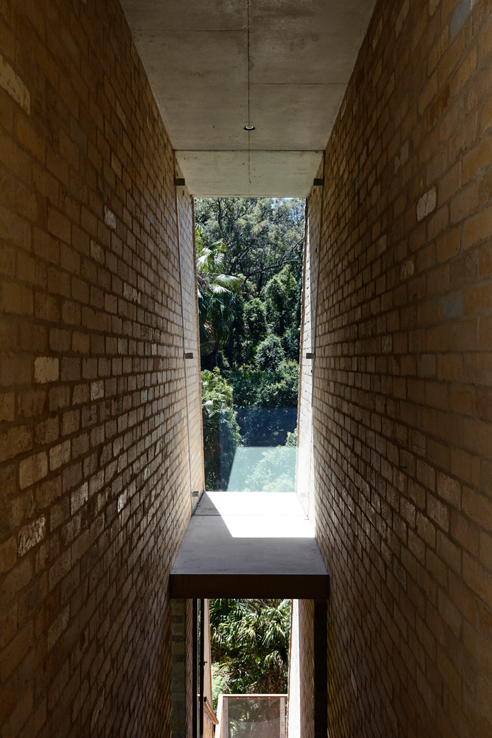 YinjiSpace Peter Stutchbury Architecture x Cabbage Tree House